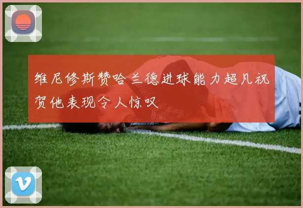 维尼修斯赞哈兰德进球能力超凡祝贺他表现令人惊叹